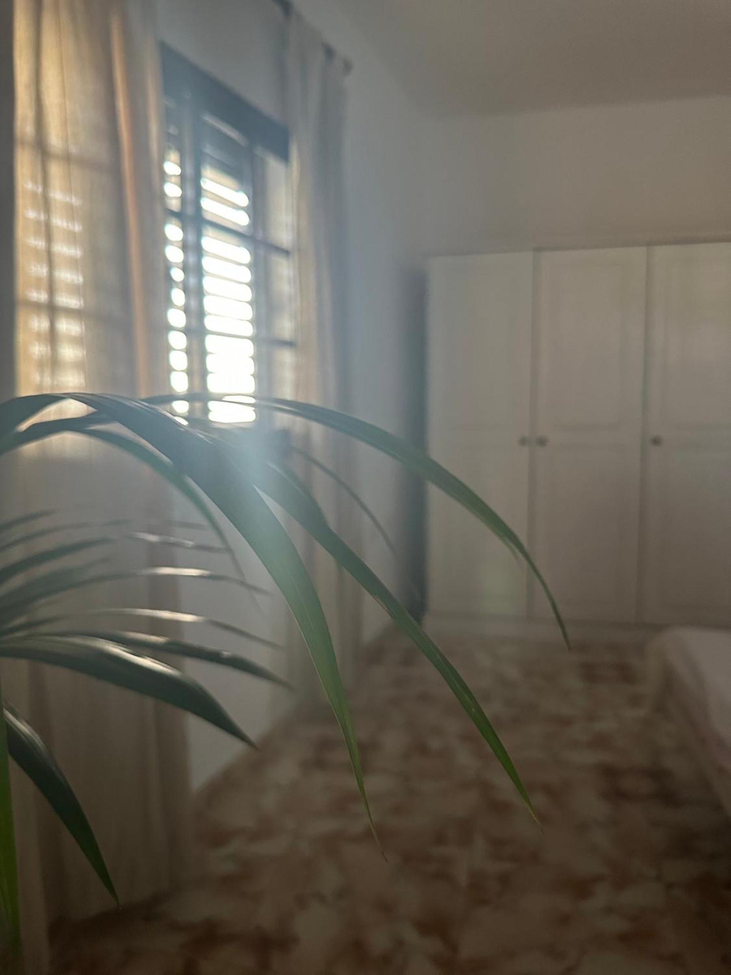 Apartamento Fortaleza Vallehermoso Exteriör bild