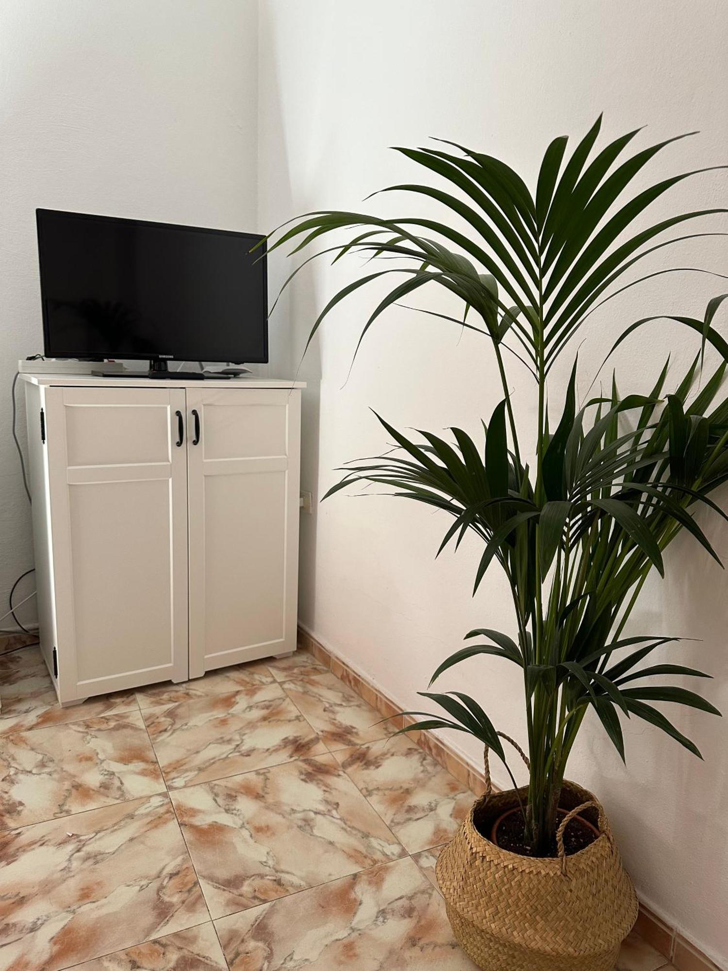 Apartamento Fortaleza Vallehermoso Exteriör bild