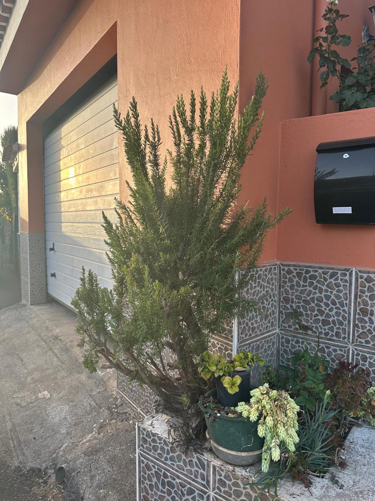 Apartamento Fortaleza Vallehermoso Exteriör bild