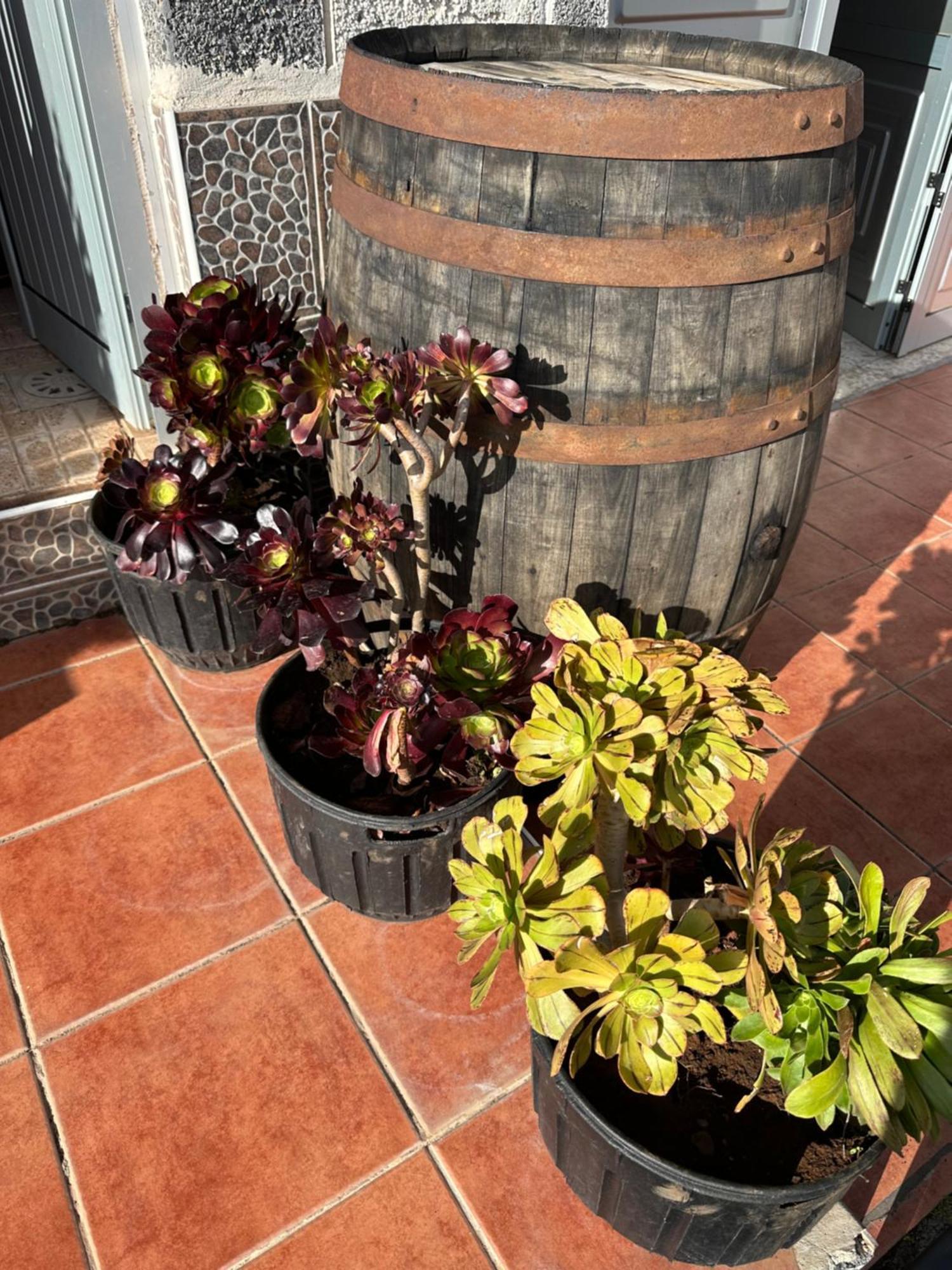 Apartamento Fortaleza Vallehermoso Exteriör bild